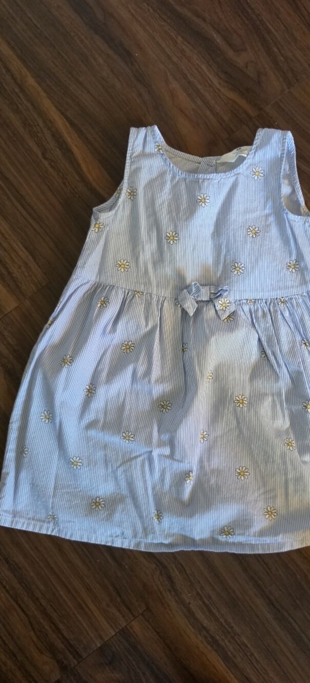 H&M Light Blue Daisy Stripe Cotton Dress